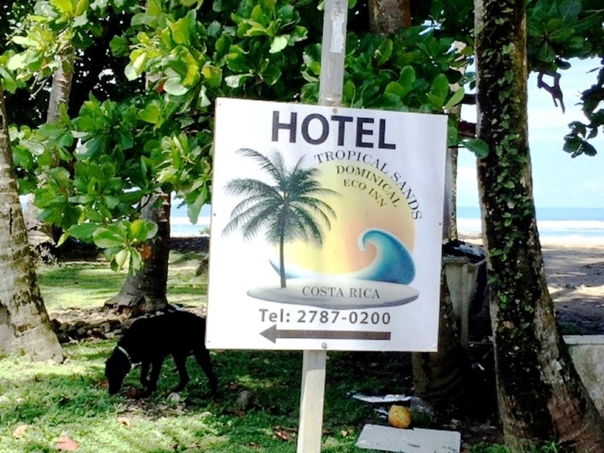 Hotel Tropical Sands Dominical Exteriör bild